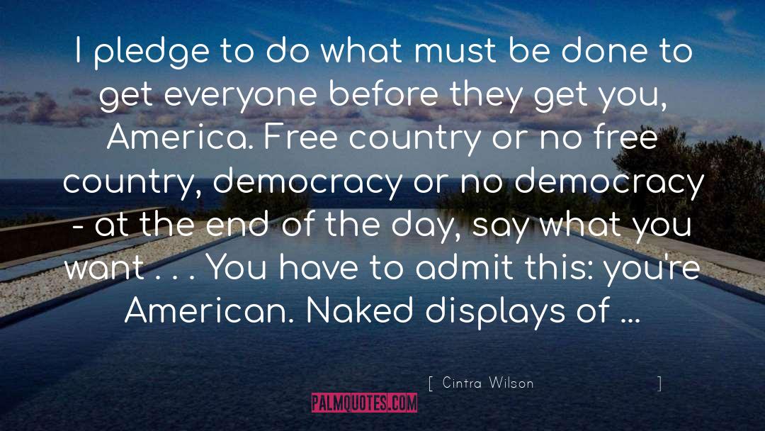 Cintra Wilson Quotes: I pledge to do what