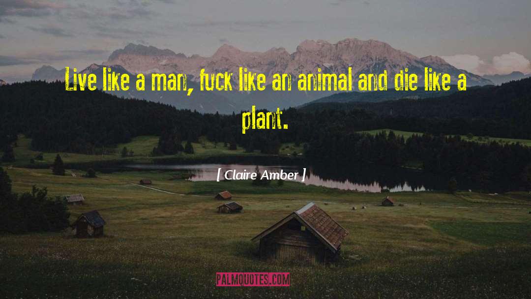 Claire Amber Quotes: Live like a man, fuck