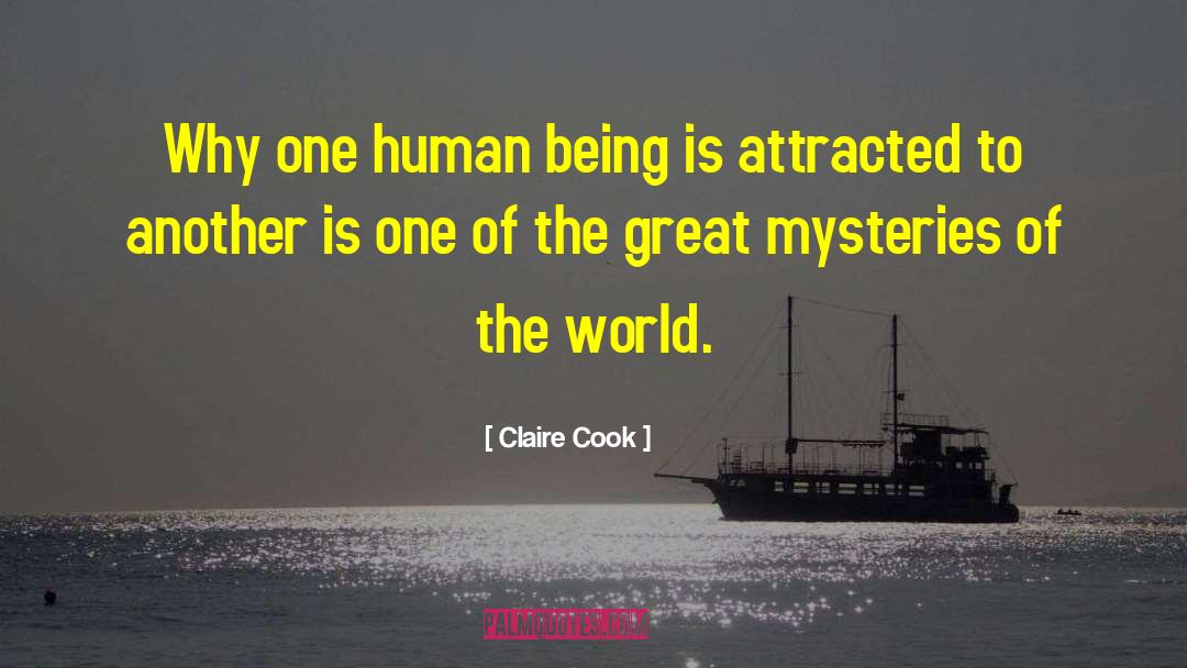 Claire Cook Quotes: Why one human being is