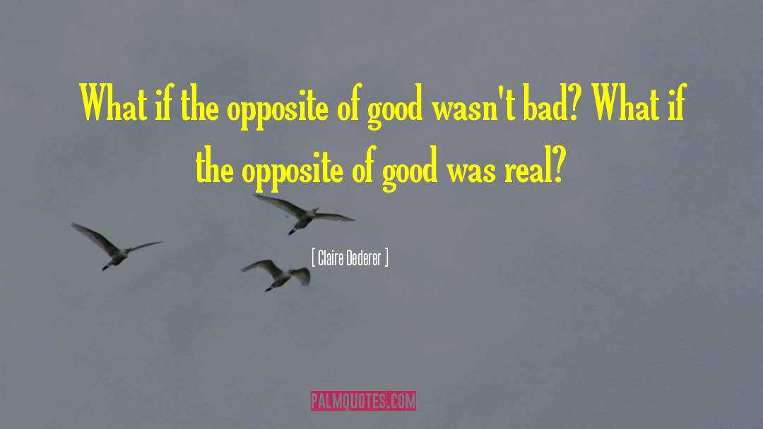 Claire Dederer Quotes: What if the opposite of