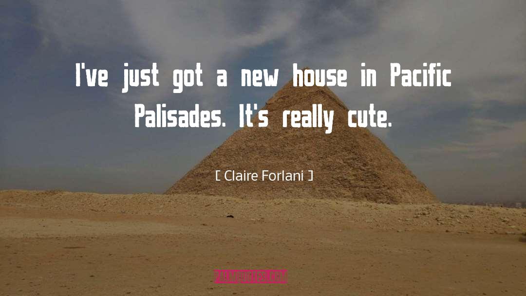 Claire Forlani Quotes: I've just got a new