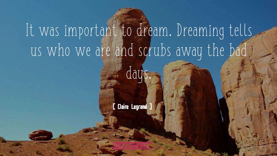 Claire Legrand Quotes: It was important to dream.