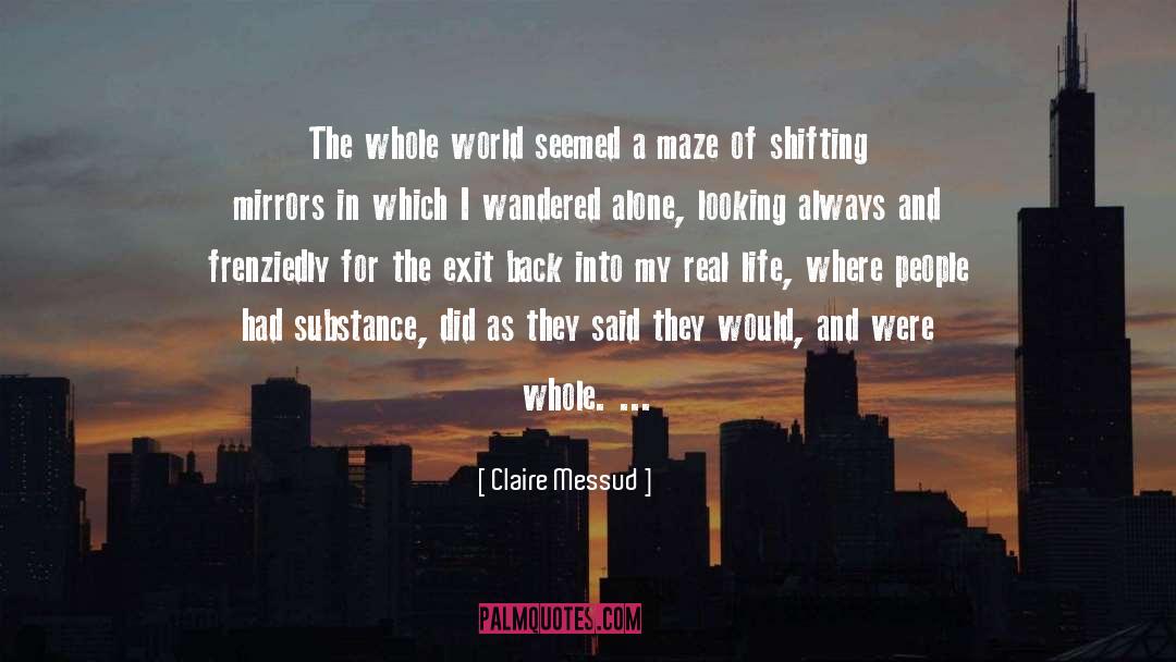 Claire Messud Quotes: The whole world seemed a