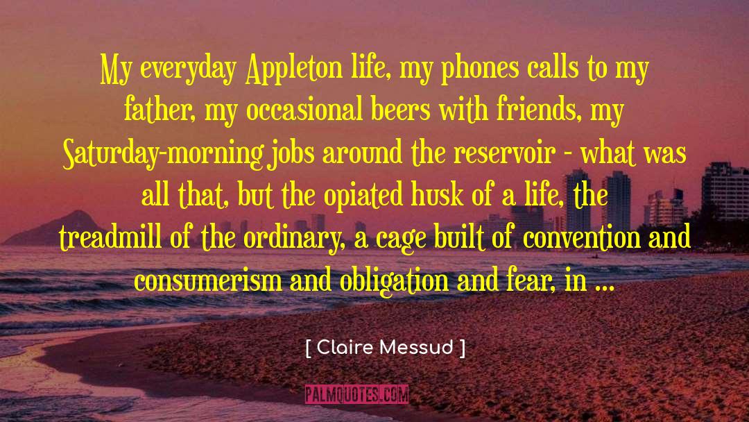 Claire Messud Quotes: My everyday Appleton life, my