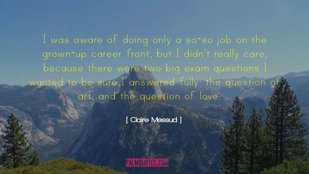 Claire Messud Quotes: I was aware of doing