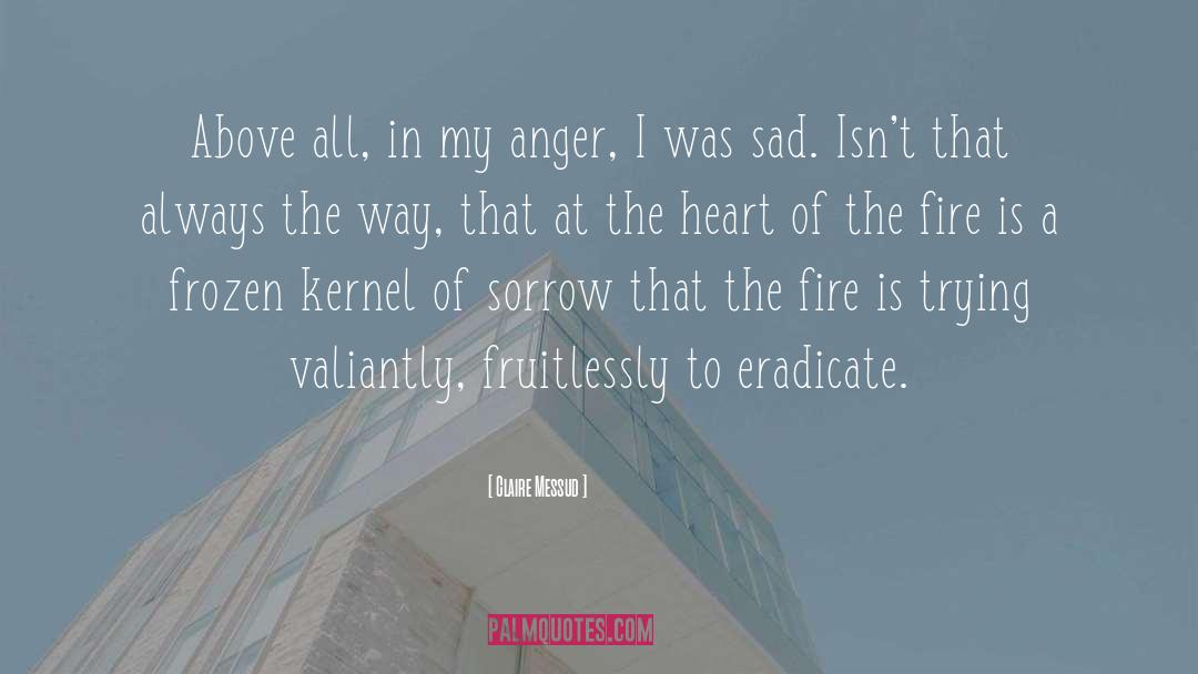 Claire Messud Quotes: Above all, in my anger,