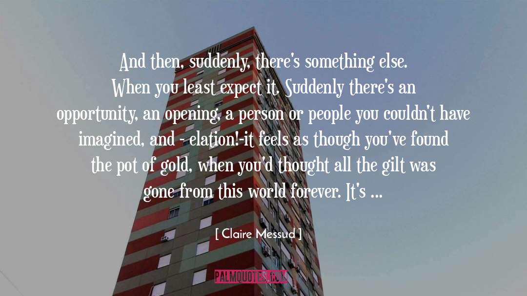 Claire Messud Quotes: And then, suddenly, there's something