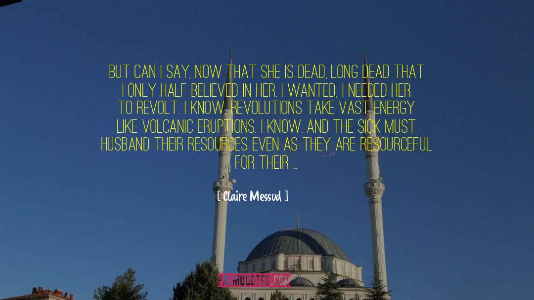 Claire Messud Quotes: But can I say, now