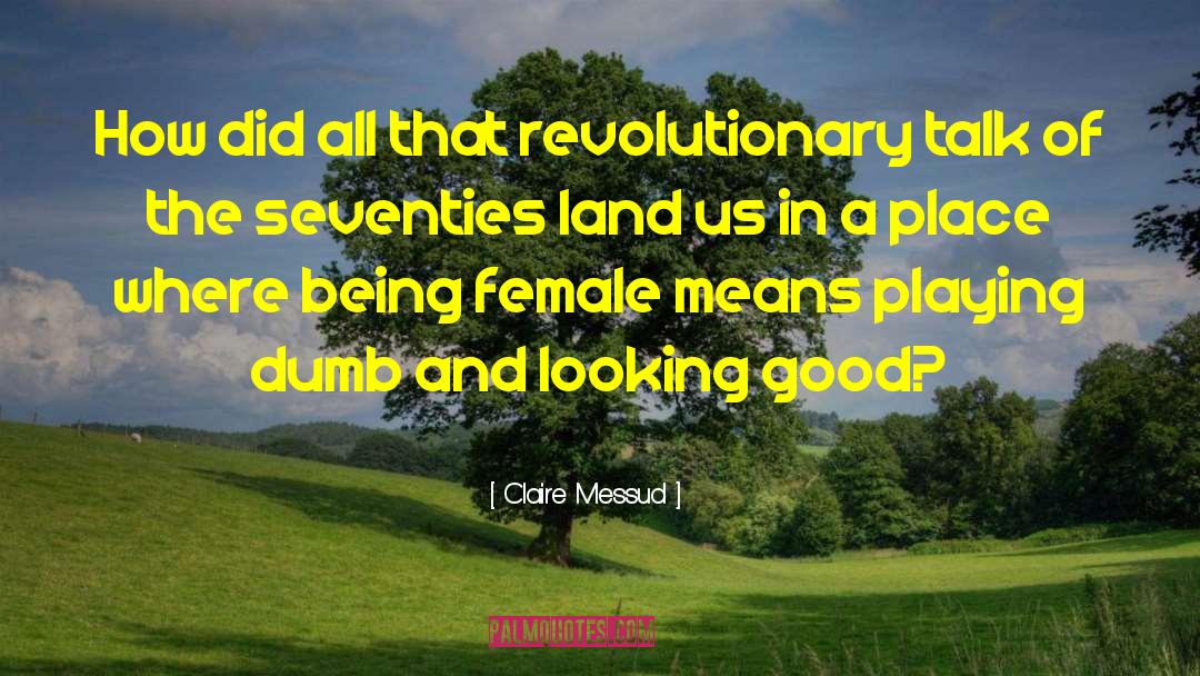 Claire Messud Quotes: How did all that revolutionary