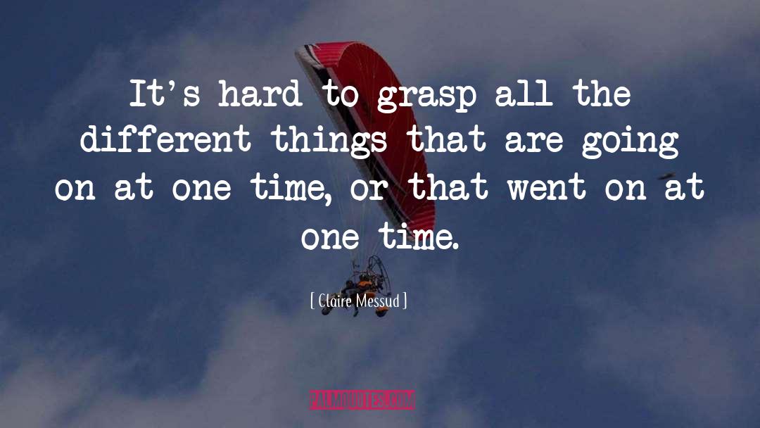 Claire Messud Quotes: It's hard to grasp all
