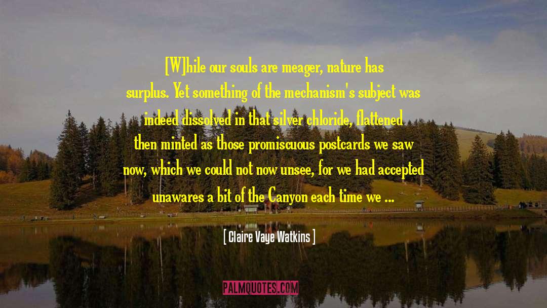 Claire Vaye Watkins Quotes: [W]hile our souls are meager,