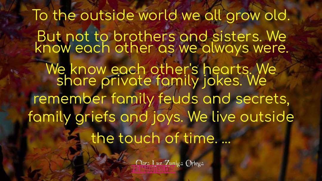 Clara Luz Zuniga Ortega Quotes: To the outside world we