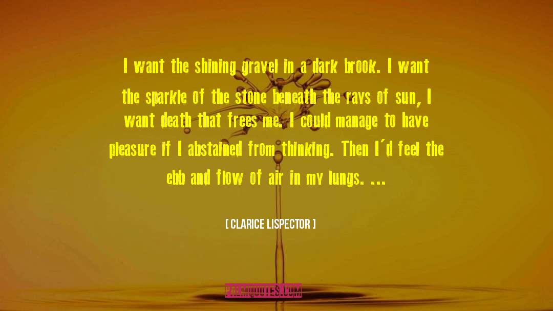 Clarice Lispector Quotes: I want the shining gravel