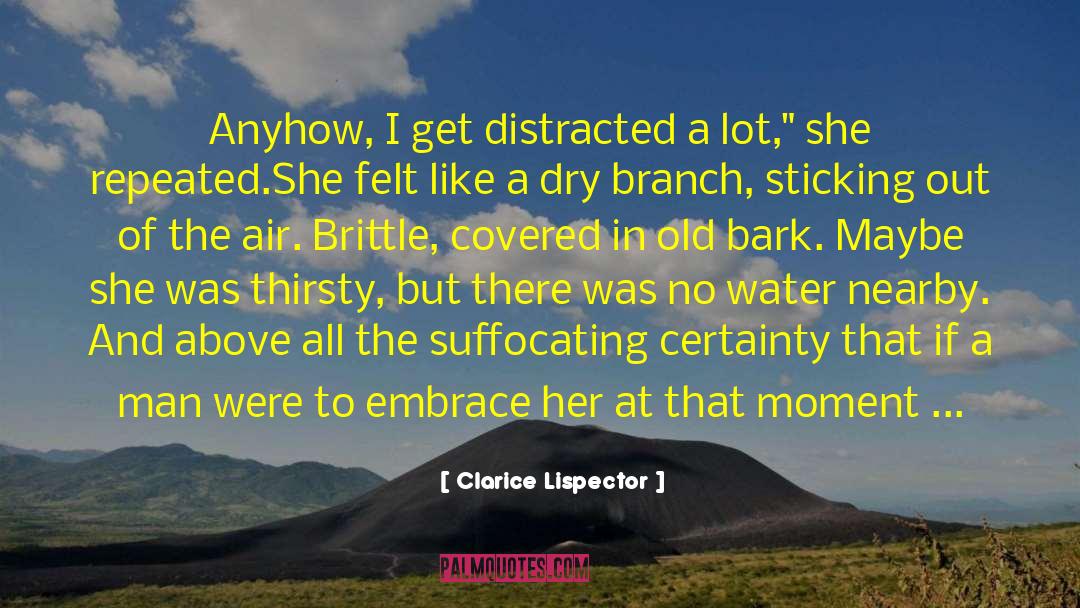 Clarice Lispector Quotes: Anyhow, I get distracted a