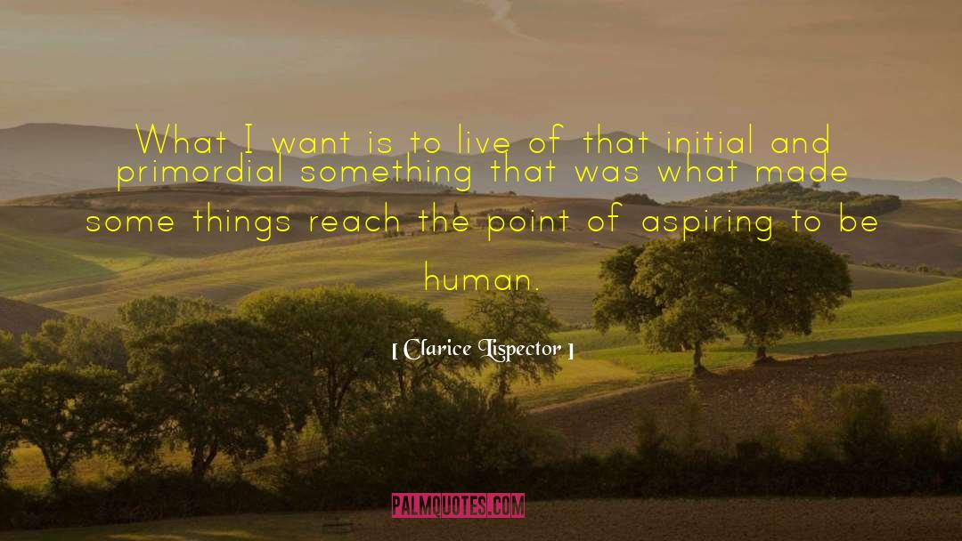 Clarice Lispector Quotes: What I want is to