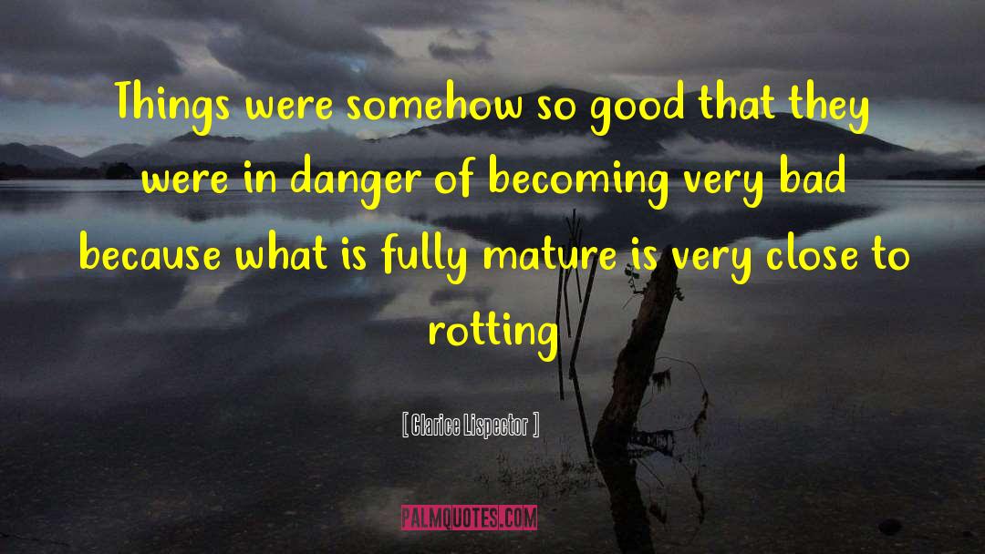 Clarice Lispector Quotes: Things were somehow so good