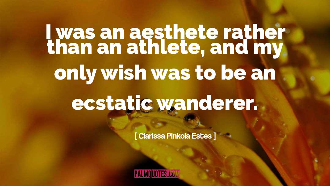 Clarissa Pinkola Estes Quotes: I was an aesthete rather