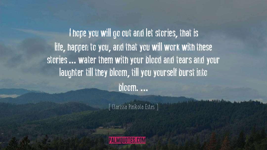 Clarissa Pinkola Estes Quotes: I hope you will go