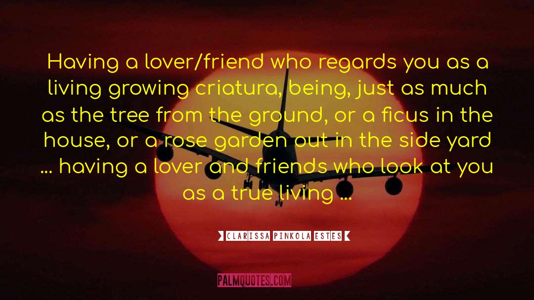 Clarissa Pinkola Estes Quotes: Having a lover/friend who regards