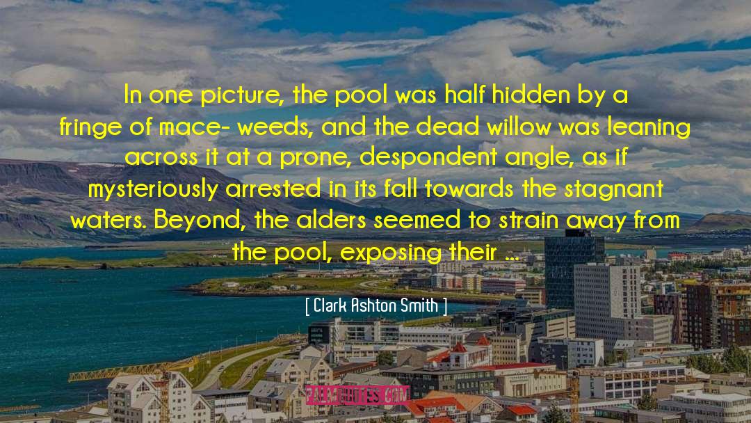 Clark Ashton Smith Quotes: In one picture, the pool