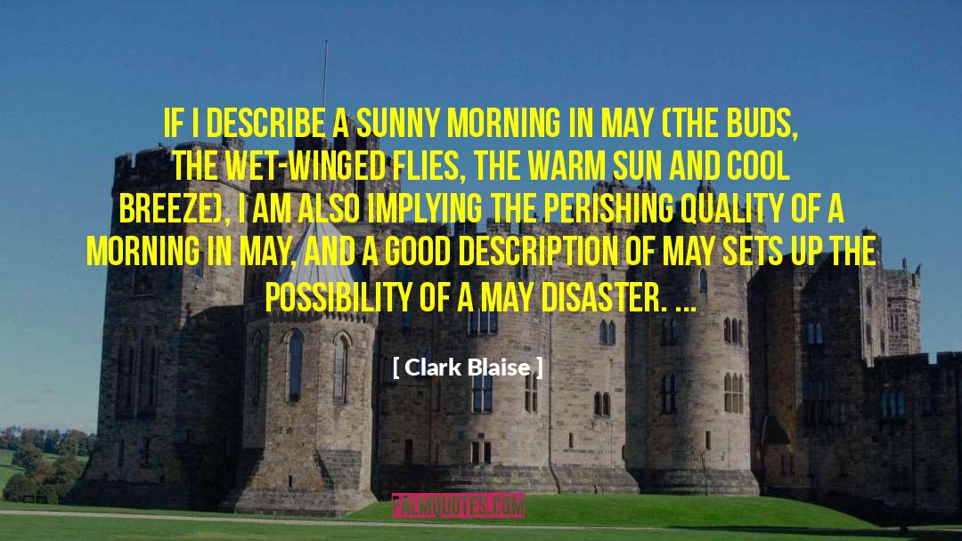 Clark Blaise Quotes: If I describe a sunny