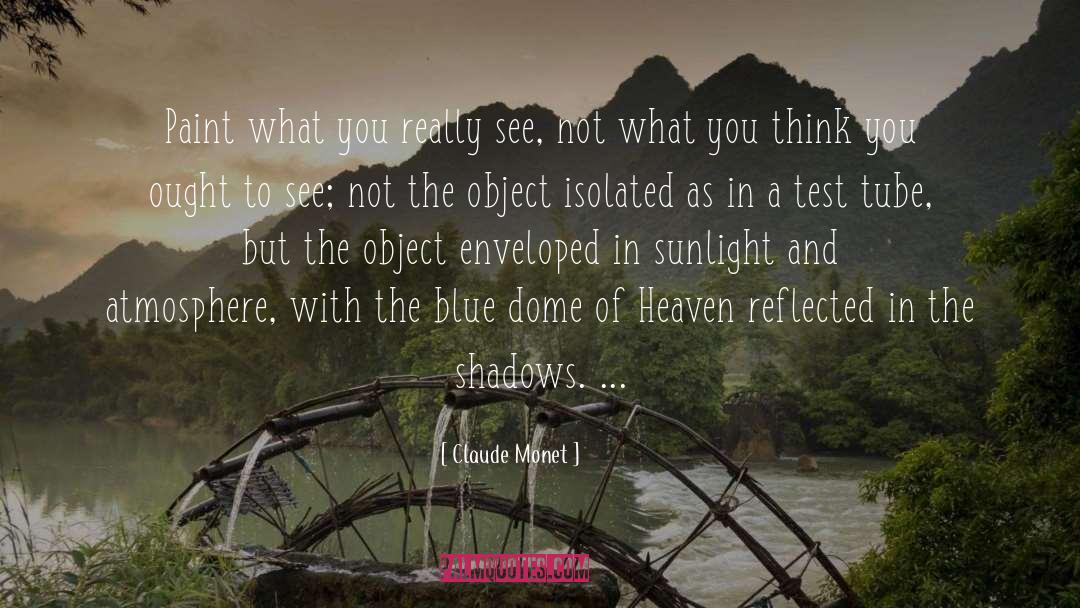 Claude Monet Quotes: Paint what you really see,