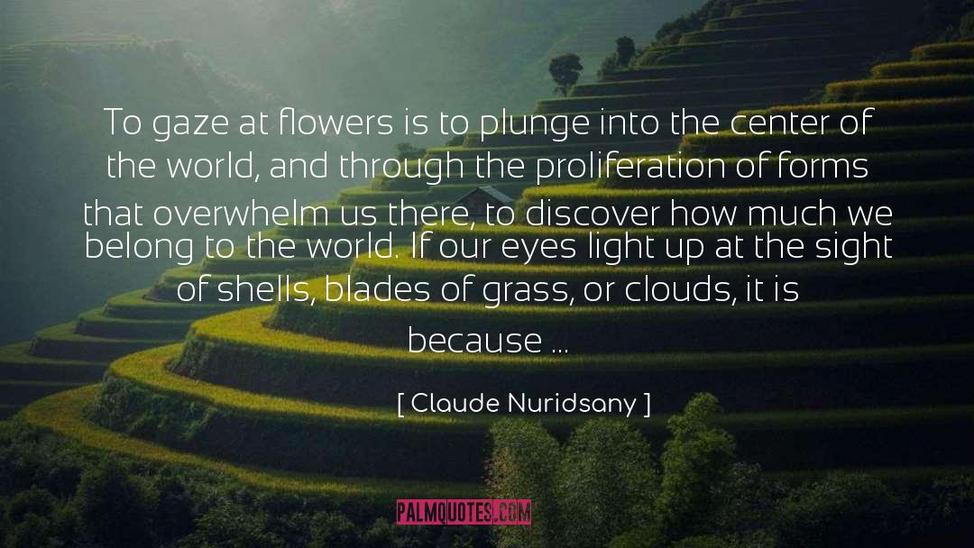 Claude Nuridsany Quotes: To gaze at flowers is