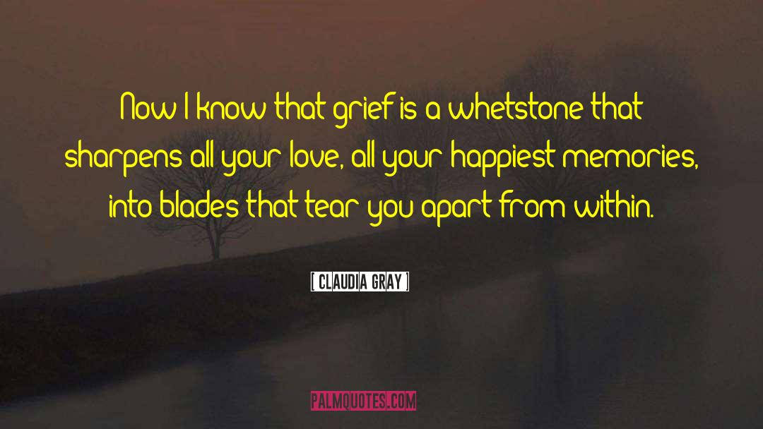 Claudia Gray Quotes: Now I know that grief
