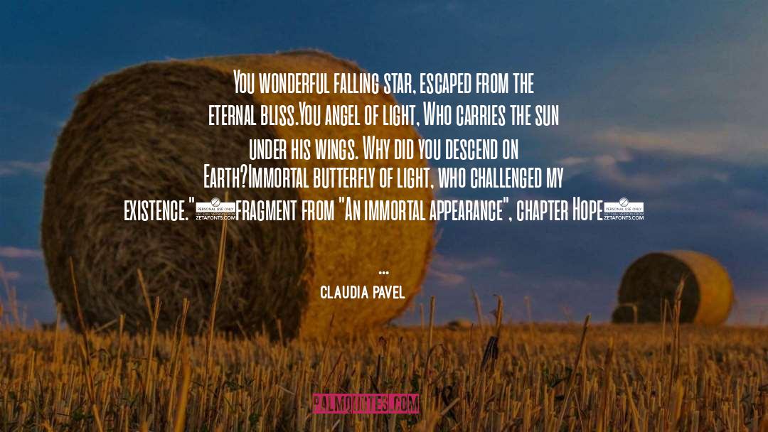 Claudia Pavel Quotes: You wonderful falling star, <br