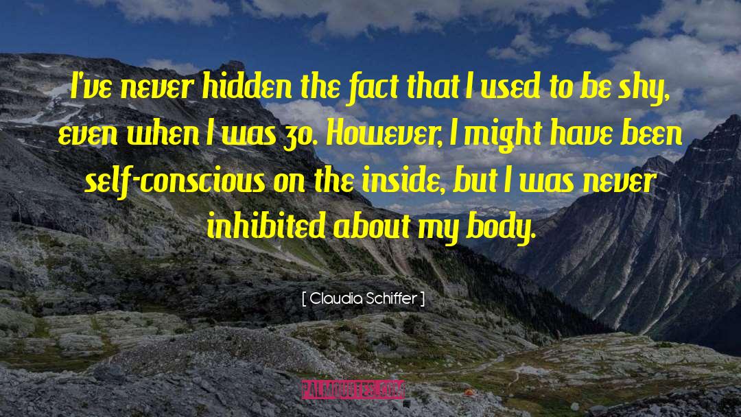 Claudia Schiffer Quotes: I've never hidden the fact