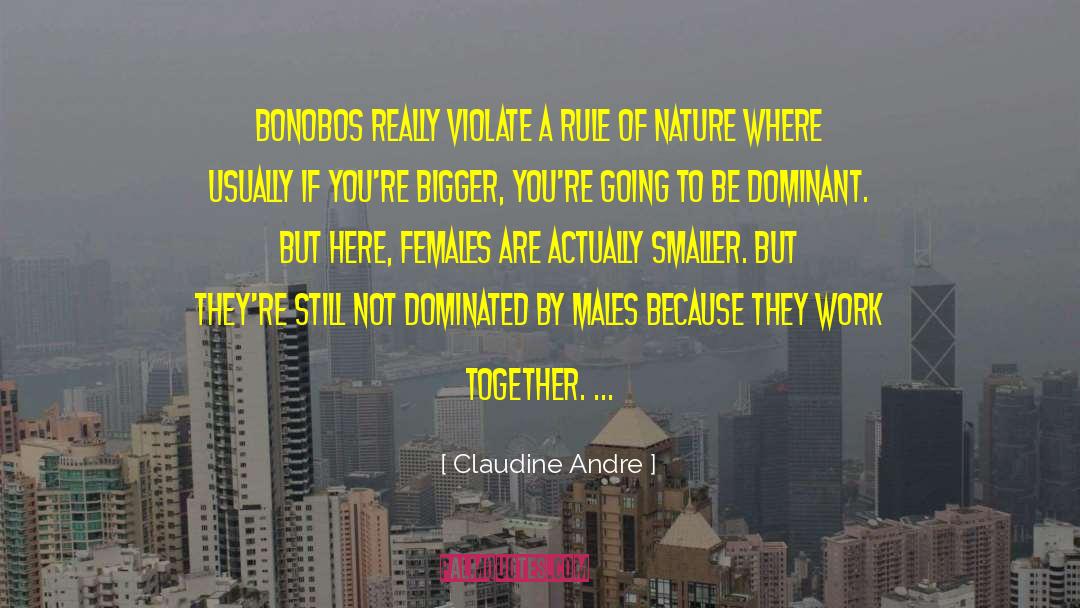 Claudine Andre Quotes: Bonobos really violate a rule