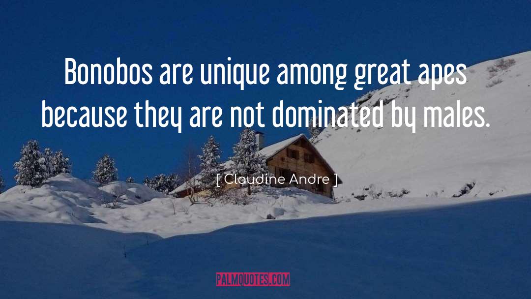 Claudine Andre Quotes: Bonobos are unique among great