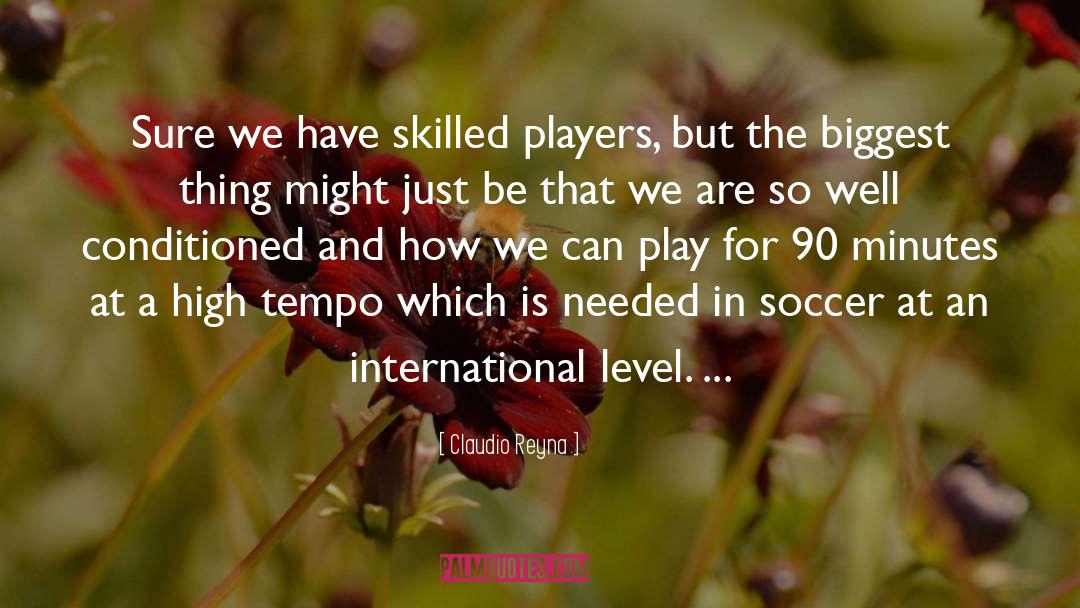 Claudio Reyna Quotes: Sure we have skilled players,