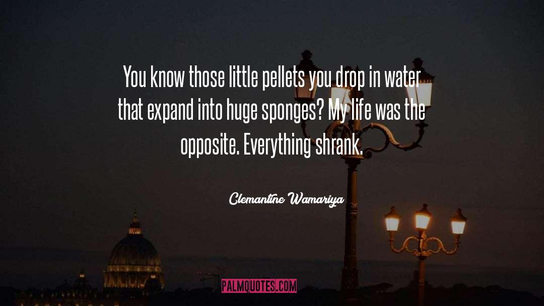 Clemantine Wamariya Quotes: You know those little pellets