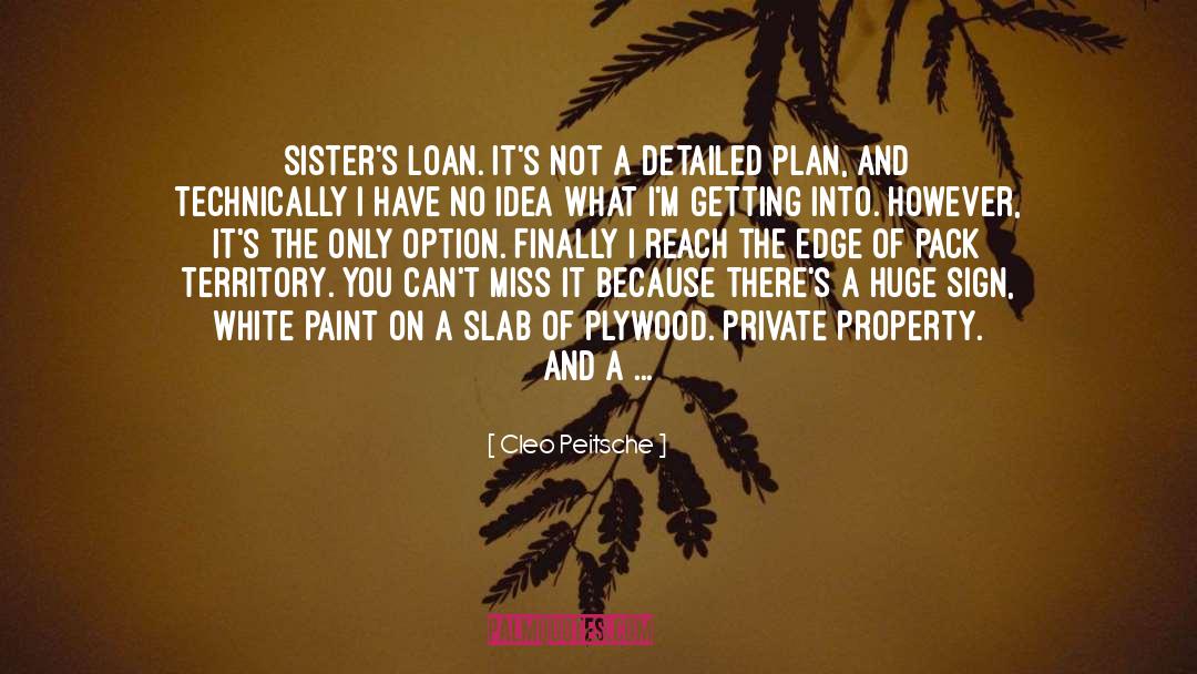 Cleo Peitsche Quotes: sister's loan. It's not a