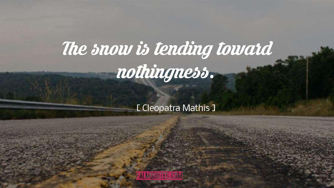 Cleopatra Mathis Quotes: The snow is tending toward