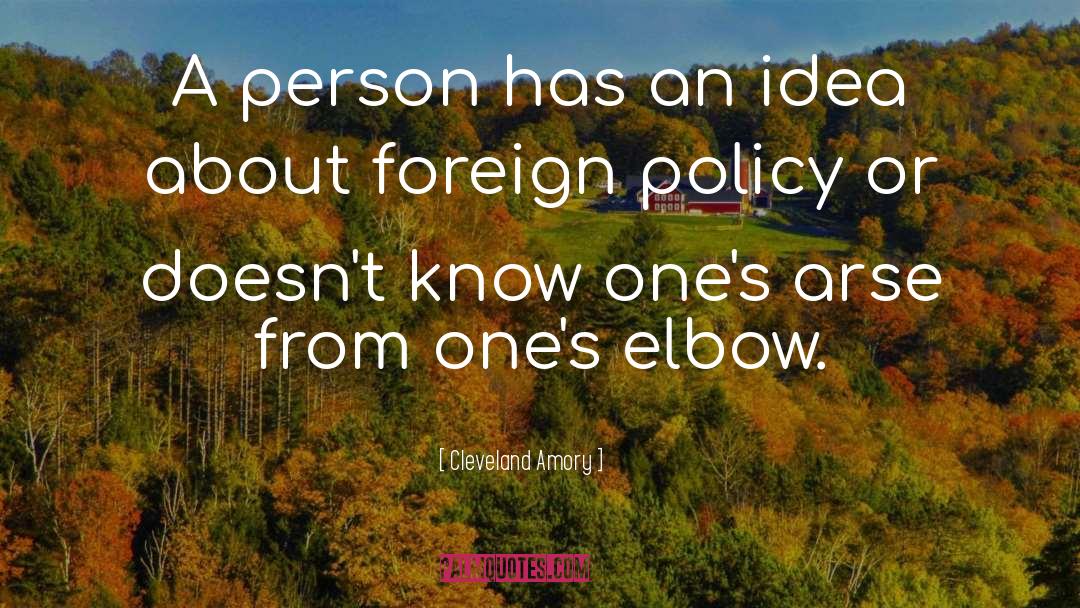 Cleveland Amory Quotes: A person has an idea