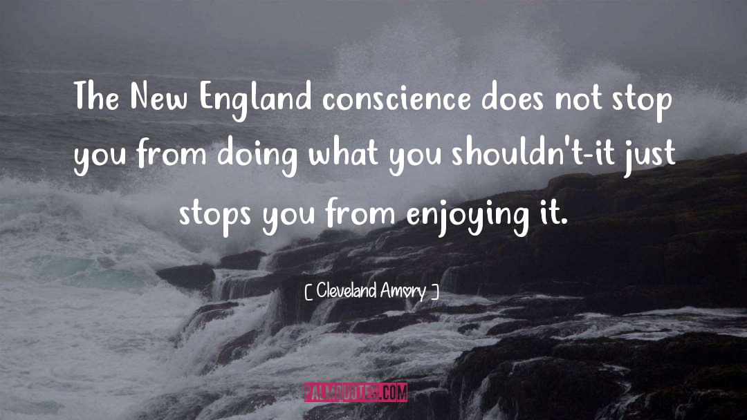 Cleveland Amory Quotes: The New England conscience does