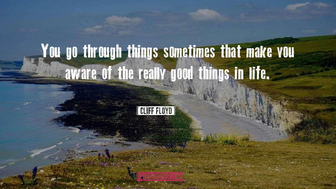 Cliff Floyd Quotes: You go through things sometimes