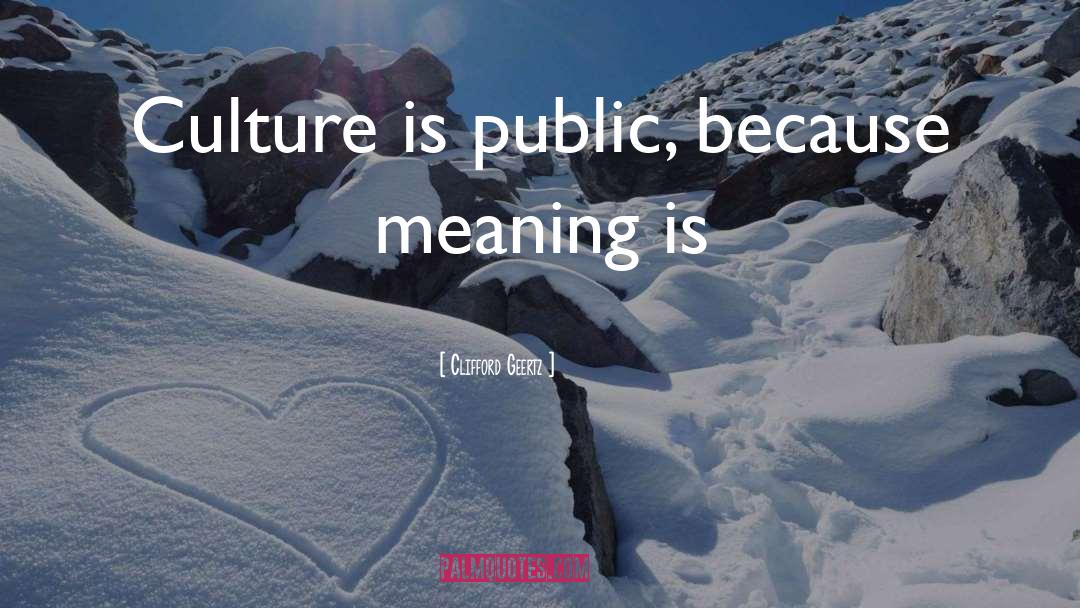 Clifford Geertz Quotes: Culture is public, because meaning