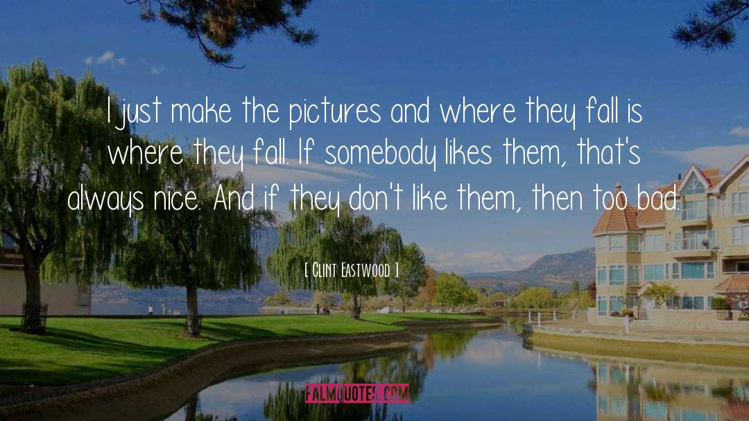 Clint Eastwood Quotes: I just make the pictures