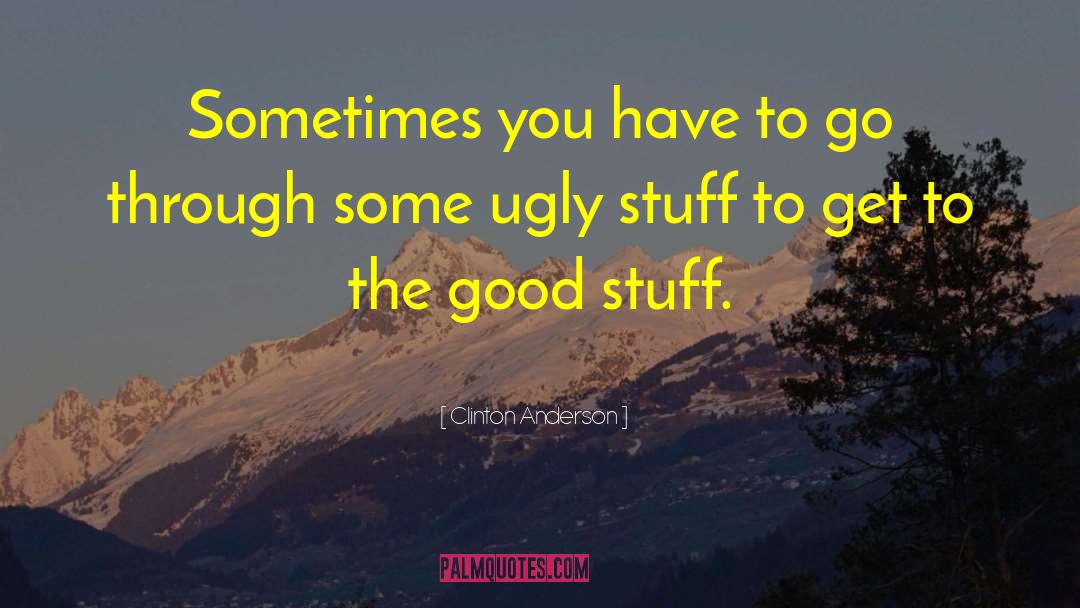 Clinton Anderson Quotes: Sometimes you have to go