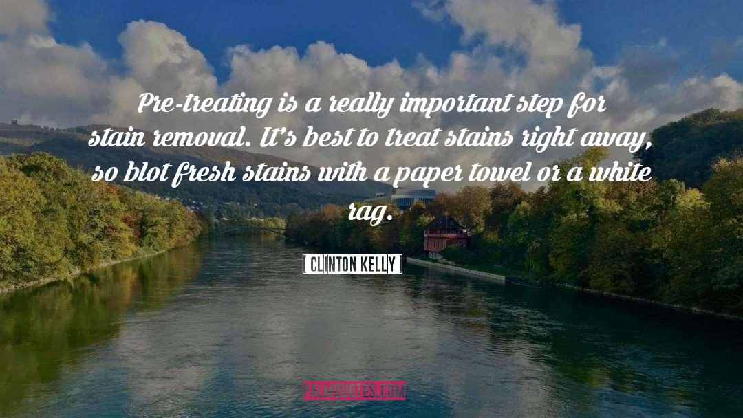 Clinton Kelly Quotes: Pre-treating is a really important