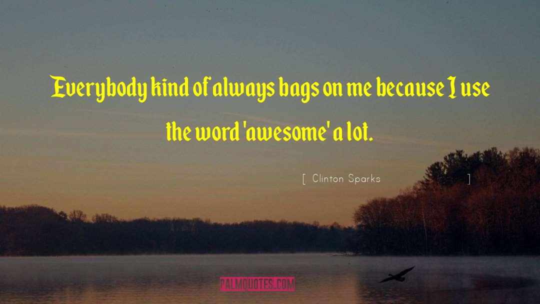 Clinton Sparks Quotes: Everybody kind of always bags