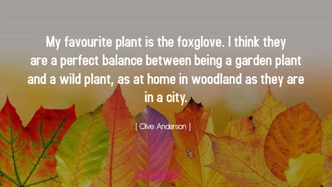 Clive Anderson Quotes: My favourite plant is the