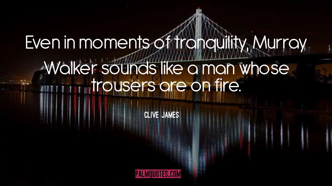 Clive James Quotes: Even in moments of tranquility,