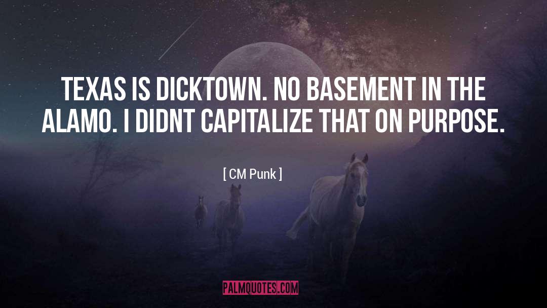CM Punk Quotes: Texas is dicktown. No basement