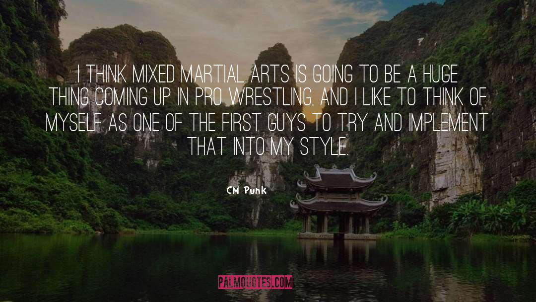 CM Punk Quotes: I think Mixed Martial Arts