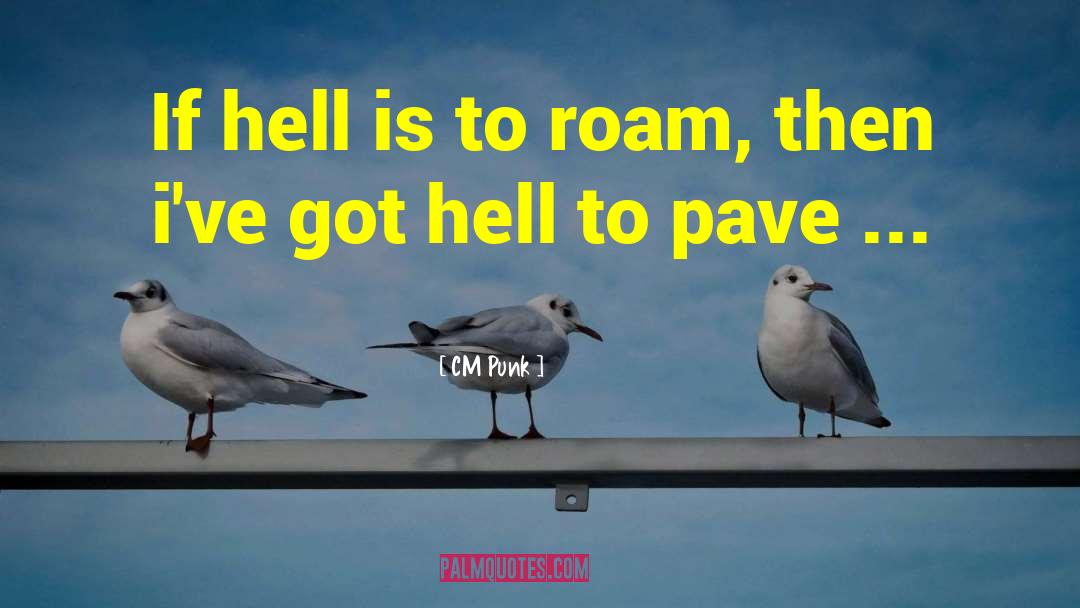 CM Punk Quotes: If hell is to roam,