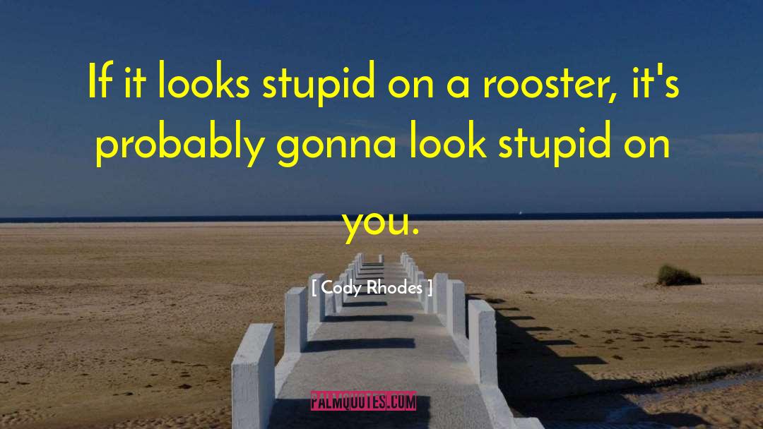 Cody Rhodes Quotes: If it looks stupid on
